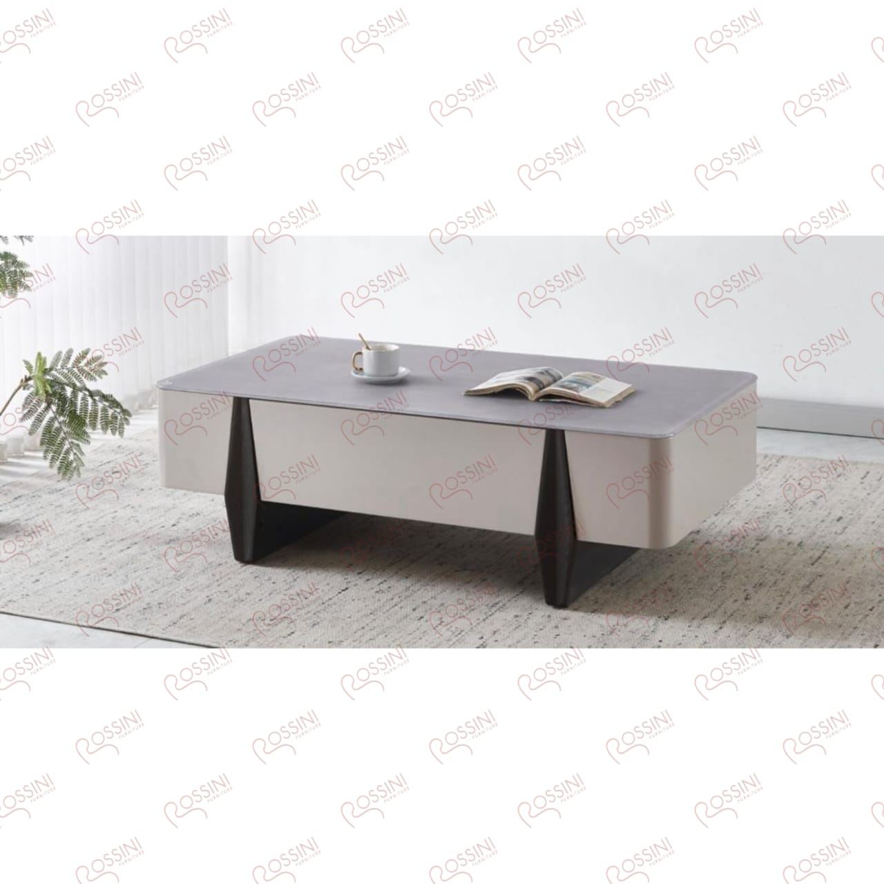 Modern Luxury Coffee Table